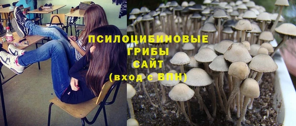 прущие грибы Алексин