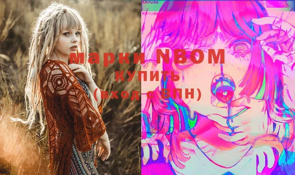 стаф Осинники