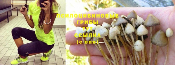 МДПВ Алексеевка