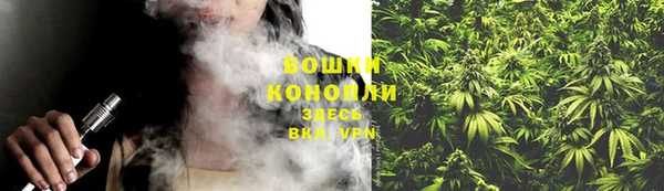 сатива Осташков